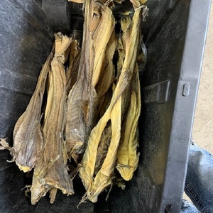 Vente en gros de morue norvégienne et têtes de morue de haute qualité, transformées par lyophilisation, emballées sous vide, tailles 5,5 cm - Product Image 3