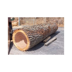 Troncos de madera de roble a precio económico procedentes de bosques de gestión sostenible - Product Image 1