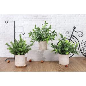 Set di 3 Piante Artificiali di Eucalipto in Vaso, Ispirate allo Stile Rustico, Centrotavola Finti per Casa, Ufficio e Scrivania - Product Image 2