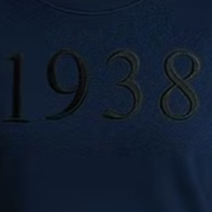 เสื้อสเวตเชิ้ตปักลายพัฟ 3 มิติ สีน้ำเงินสำหรับผู้หญิง เสื้อแขนยาวลำลอง สวมใส่สบายทุกวัน เสื้อผ้าสไตล์ไลฟ์สไตล์ - Product Image 2