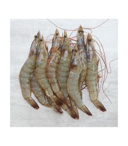 กุ้งขาวแช่แข็งพรีเมียม ปอกเปลือก ขอดเส้นเลือดออกแล้ว สำหรับทำอาหารเร็วและทำสลัด - Product Image 1