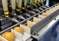 Mesin Injeksi Samping untuk Mengisi Krim, Selai, dan Custard pada Roti dan Kue Industri