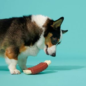 Jouet à mâcher Super Chewer Wreck of Ribs pour chiens - Product Image 4