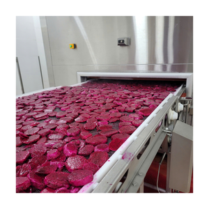 Dragon Fruit Biologique Congelé IQF Rouge et Blanc, en Dés, Fruits Tropicaux, Fournisseur en Gros Vietnam - Product Image 2