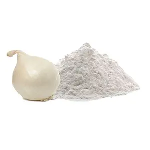 Bulk Dried White Onion Extract Powder Reasonable Price Fresh & Organic Vegetable Powder Supplier From India