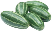 Prix de gros Courge verte pointue fraîche de qualité supérieure, légume Potol rayé du Bangladesh