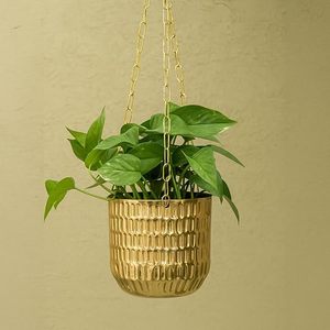 Pot de fleurs suspendu plaqué or moderne avec chaîne pour usage intérieur/extérieur, design minimaliste, jardinière pour plantes - Product Image 1
