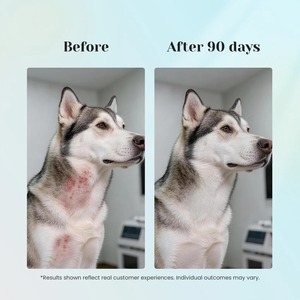 Golosinas Masticables Suaves para Perros y Gatos, Alivio de Alergias, Tratamiento para la Picazón de la Piel, Refuerzo Inmunológico, Antipicazón, Alivio de Alergias en Mascotas, Alergias Estacionales - Product Image 6