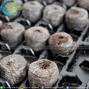 Granulés de coco professionnels de 3,5 à 4,2 cm, pureté de 95 % et faible conductivité électrique, pour la plantation horticole et le conditionnement du sol - Product Image 5