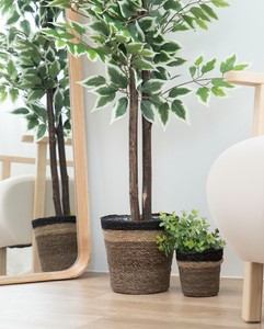 Maceta de Ratán Natural, Cesta para Plantas, Estilo Nórdico Minimalista, Contenedor para Plantas de Interior para Decoración del Hogar - Product Image 1