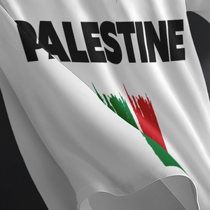 Maillot de football blanc pour homme Palestine, col en V, manches courtes, imprimé drapeau sublimé, polyester respirant, vêtements de sport pour adultes - Product Image 4