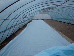 Couverture de sol pour jardin KOSITE 15-30 g/m², tissu non tissé 100% PP Spunbond, agriculture - Product Image 3