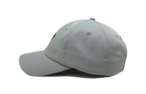 Gray Custom Logo 6 Panel Cotton Baseball Cap Fitted Sporty Adjustable Unisex Casual Embroidered Palm Tree Front Panel Spring - Product Image 5