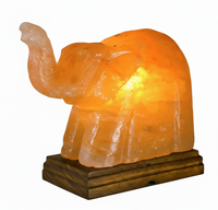 Lampe en sel rose de l'Himalaya, cristal de roche naturel, forme d'éléphant, sculptée à la main, lampe de nuit LED, lampe de table, décoration d'intérieur