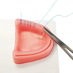 من مصنع الأسنان سيليكون الجلد نموذج خياطة منصة التدريب نموذج | الأسنان خياطة وسادة الجلد مصنوعة بواسطة Pissco باكستان