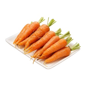Zanahorias con el precio más barato, comida fresca ORIGINAL, productos tropicales de alta calidad - Product Image 1
