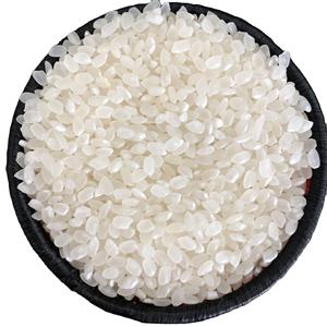 Riz Japonica/Sushi de qualité supérieure | Riz parfumé à grains courts de haute qualité pour les sushis, les plats de riz et les délices culinaires [K] - Product Image 1