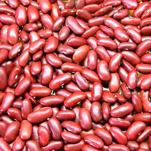 High Quality Hot Selling Green Healthy Dried Style Red <b>Beans</b> Kidney Certified Red Kidney <b>Bean</b> Rich Protein Dark Red Kidney <b>Beans</b> - Product Image 1