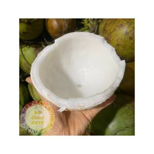 VENTE FLASH - Prix direct usine chair de noix de coco congelée Copra riche en matières grasses pour l'industrie alimentaire américaine Vente en gros à prix réduit Exportation - Product Image 5