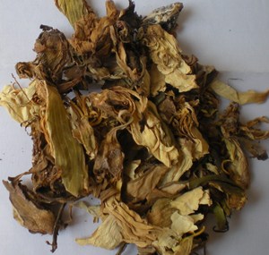 Meilleures ventes en vrac de fleurs Nilofar séchées naturelles d'Inde à bon prix - Product Image 3