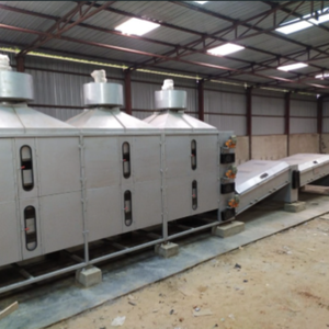Planta Automática de Deshidratación de Tomates para Procesamiento Industrial de Alimentos con Alta Eficiencia, Bajo Mantenimiento y Capacidad de 500 Kg por Hora - Product Image 3