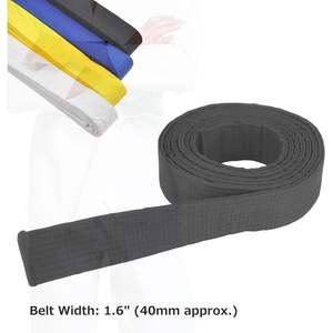 2025 Ceinture de karaté brodée personnalisée pour TaeKwonDo Judo Rank Premium Martial Arts Wear - Product Image 4