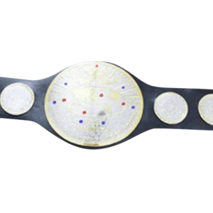 Ceinture de championnat de lutte personnalisable vierge, ceinture sportive de haute qualité pour collectionneurs et événements, design premium - Product Image 2