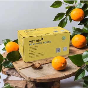 Wholesale VIET TIEN BN-10M <b>Small</b> Electric ABS Eco-Friendly Draining Pump Air Conditioner Condensate Removal Protect Vietnam - Product Image 2