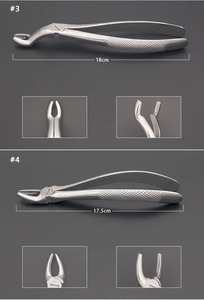 Ensemble de forceps d'extraction dentaire en acier inoxydable chirurgical Ametrine pour adultes et enfants, poignée ergonomique, certifié CE, garantie 1 an - Product Image 4