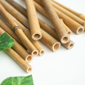 Whole Split Vietnam Treated Natural Bamboo Raw Materials <b>for</b> Construction and <b>Gardening</b> Bamboo <b>Poles</b> Stakes - Product Image 4