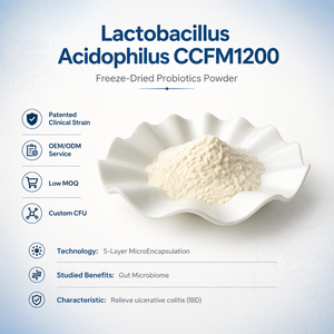 Lactobacillus Acidophilus CCFM1200 en Polvo Probiótico Liofilizado a Granel para Soluciones del Microbioma Intestinal e Ingredientes Trasladables - Product Image 1
