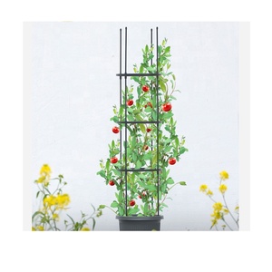 เสาค้ำต้นมะเขือเทศ ผัก และผลไม้ แบบกรง - Product Image 1