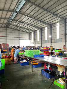 โรงงาน OEM ผลิตภัณฑ์กระเทียมบดแช่แข็งแบบ IQF รูปทรงลูกบอลทั้งลูก ผลิตจากกระเทียมเวียดนาม สีขาวธรรมชาติ เกรดส่งออก บรรจุภัณฑ์สุญญากาศ - Product Image 5
