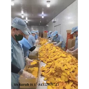 High Quality Soft <b>Dried</b> <b>Mango</b> From Viet Factory Dehyrated <b>Mango</b> Slices with Sugar Content 0 - 5% Wholesale Customized Packing - Product Image 5