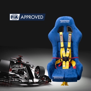 เข็มขัดนิรภัยสำหรับแข่งรถ Professional SPORT PLUS 3 ได้รับการรับรองจาก FIA ขนาด 50 มม. พร้อมระบบดึงลง บริการ OEM ODM - Product Image 3