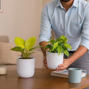 Maceta Colgante Grande de Hierro para Jardín |   Maceta Resistente de Estilo Bohemio para Exteriores - Product Image 6