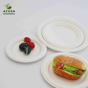 Assiettes jetables légères et durables en bagasse, écologiques, fabriquées en fibres de canne à sucre haute densité pour restaurants et camions de restauration mobiles - Product Image 3