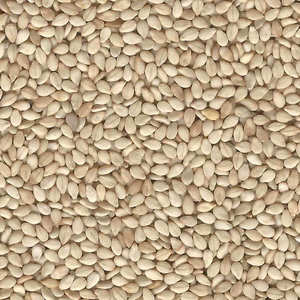 Semillas de Sésamo Blanco Tostadas de Grado Alimenticio para la Industria Alimentaria - Product Image 3