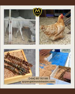 Bloques de Aserrín de Madera de Pino 100% Natural KMI de Vietnam, Alta Densidad y Baja Humedad para Pedidos al por Mayor con Precio Competitivo - Product Image 2