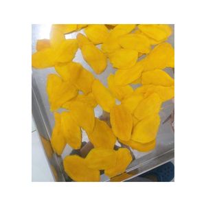 Mango Deshidratado Premium Natural Bajo en Azúcar de Alta Calidad, Origen Vietnam, Suministro a Granel para Compradores Globales de Alimentos - Product Image 1
