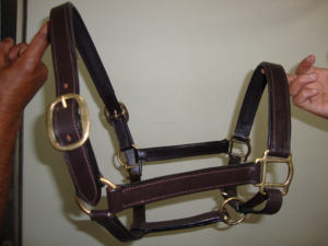 Cheval équestre multicolore entièrement réglable en cuir durable couronne licou dans toutes les tailles et couleurs personnalisées - Product Image 6