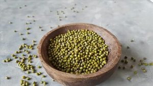 Indian <b>Green</b> Moong Whole Beans Fresh Crop Premium Quality Pulses for Wholesale Export <b>Food</b> Processing FitTree International - Product Image 5