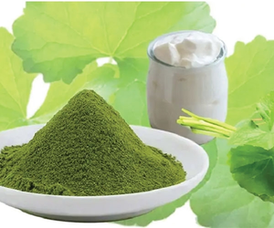 Polvo de Pennywort Liofilizado de Alta Calidad, Suministro de Fábrica, Ingrediente Herbal Natural para Sopas, Bebidas, Servicios de Alimentos y Mercado Minorista - Product Image 1