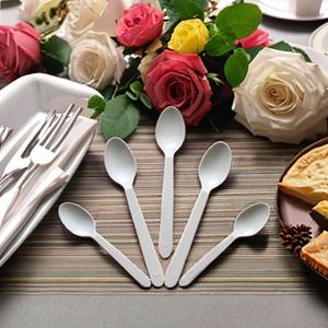 Cuillères jetables en plastique GPPS écologiques de haute qualité à prix abordable pour fêtes, pique-niques et événements – Commande en gros - Product Image 2