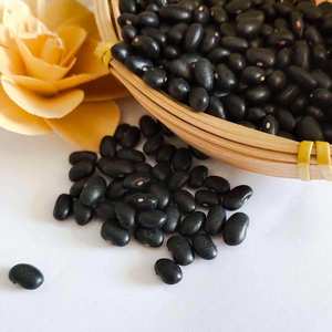 High Quality Dark Black Dried Kidney <b>Beans</b> 100% Purity 2 Year Shelf Life Austria Origin 25kg Bulk Wholesale Packaging for Sale - Product Image 5