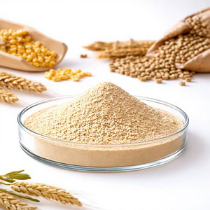 ผงเอนไซม์ไซแลนาส ความบริสุทธิ์ขั้นต่ำ 98% จาก Ansel Biotech - Product Image 1