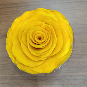 Découvrez des tranches de mangue séchées douces de haute qualité, moins sucrées, du Vietnam, pour la vente en gros, l'emballage personnalisé et les programmes de vente au détail internationaux. - Product Image 6