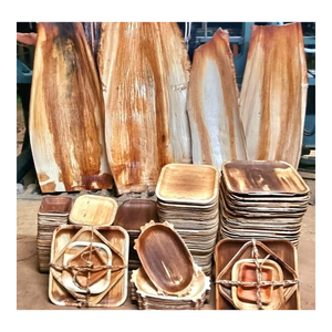 Platos de Hoja de Palma de Areca Biodegradables de Calidad Premium para Soluciones Sostenibles de Restaurantes y Servicios de Alimentos - Product Image 5