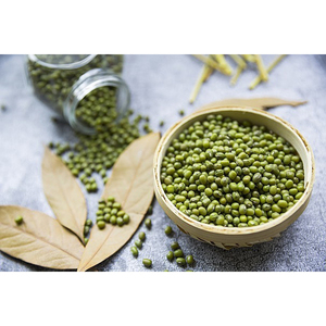 Haricots mungo riches en protéines, gramme vert nutritif pour usage domestique et industriel - Product Image 3