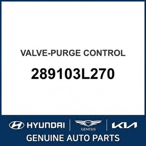 G70 Nuevas Piezas y Accesorios para Autos y Camiones 289103L270 - Product Image 1